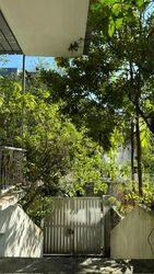 Wishart Road (D4), Terrace #554095631